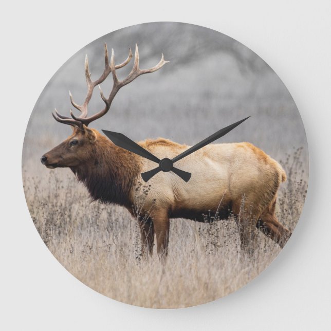 Deer Stag Animals Wildlife Nature Buck Large Clock (Front)