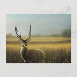 Deer Stag standing in Field of Grass Postcard