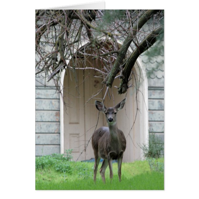 Deer standing in front of the Wehner Mansion (Front)