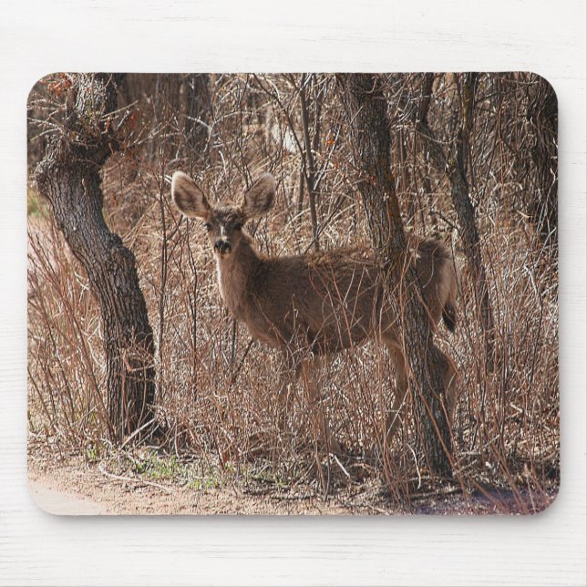 Deer Stare Mouse Mat (Front)