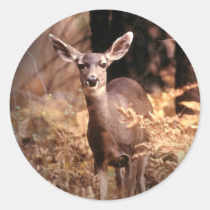 Deer sticker
