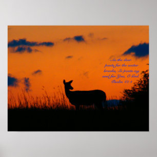 Deer Sunset Poster