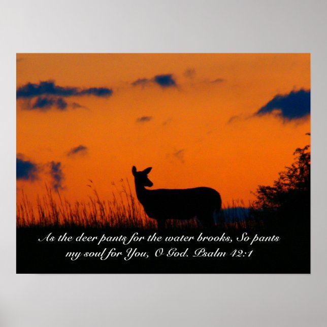 Deer Sunset Poster (Front)