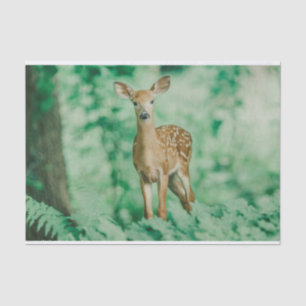 Deer Tissue Paper