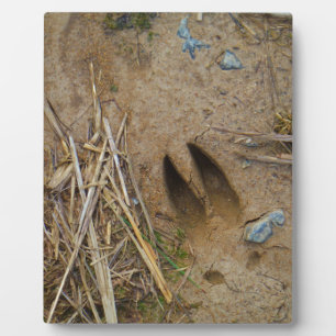 deer track plaque
