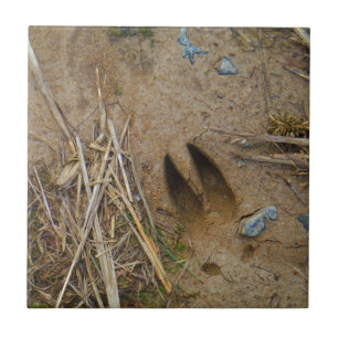 deer track tile