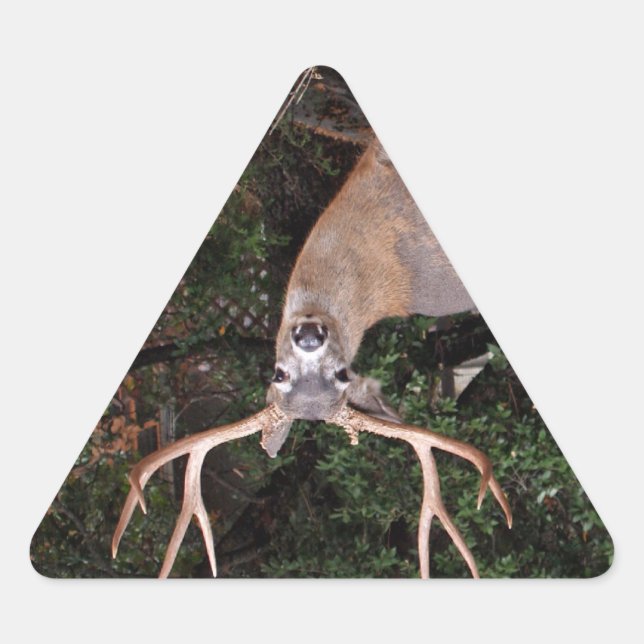 Deer Triangle Sticker (Front)