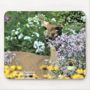 Deer Visit the Gardens close up Mouse Mat