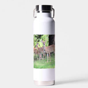 Deer Water Bottle