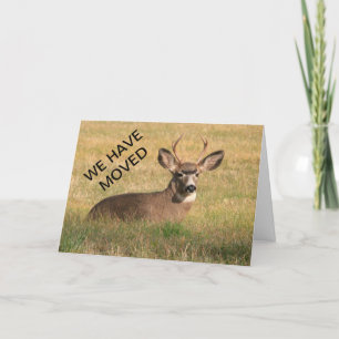 Deer We Have Moved Card