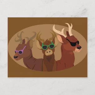 Deer Wearing Sunglasses Postcard