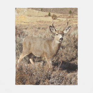 Deer, wildlife, buck, fleece blanket