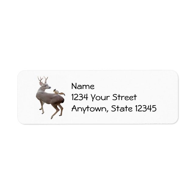Deer Witch Squirrel Return Address Labels (Front)