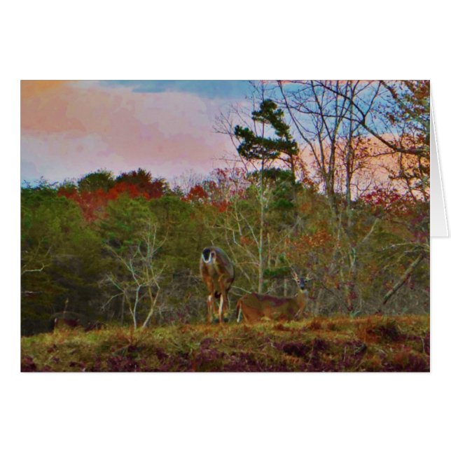 Deer with a Pink blue sky (Front Horizontal)