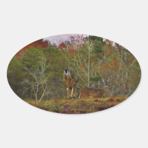 Deer with a Pink blue sky Oval Sticker