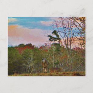 Deer with a Pink blue sky Postcard