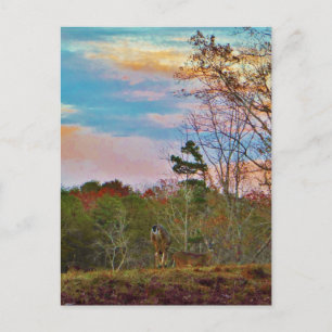 Deer with a Pink blue sky Postcard