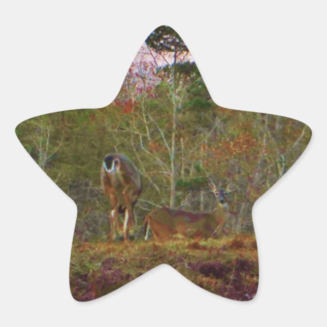 Deer with a Pink blue sky Star Sticker (Front)