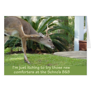 Deer with an itch
