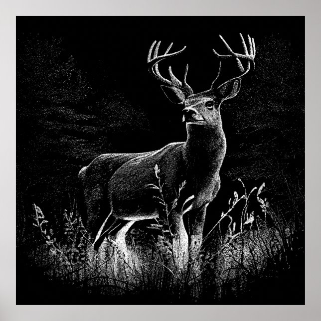 Deer with antlers framed by field and tree   poster (Front)