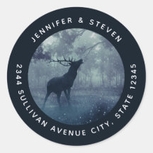 Deer with Antlers in a Shadowy Forest - Address