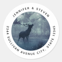Deer with Antlers in a Shadowy Forest - Address
