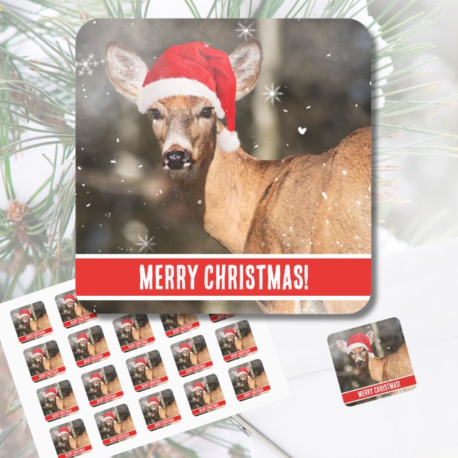 Deer with Christmas Hat in the Snow Whimsical   Square Sticker (A rustic nature scene with a deer and Santa hat make for a cute custom label with your selected text)