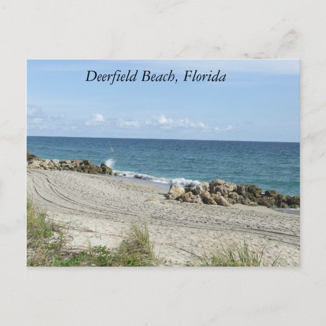Deerfield Beach, Florida FL Beach Scene Postcard (Front)