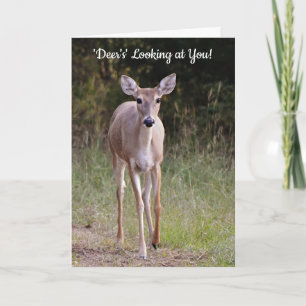 Deer's Looking at You Pun Cute Birthday Card
