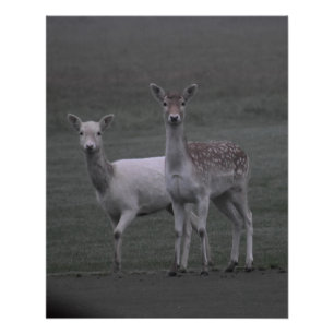 Deers Poster