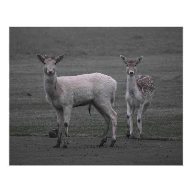 Deers Poster (Front)