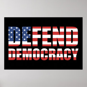 Defend Democracy Pro-Democracy Voting Rights Poster