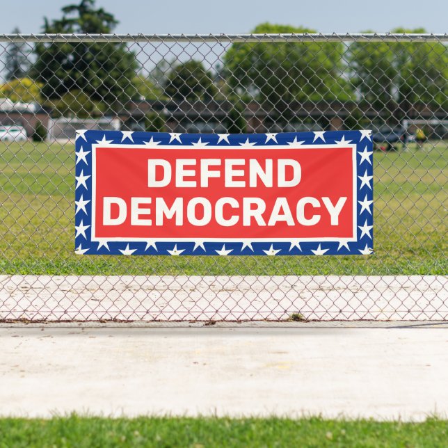 Defend Democracy Protest Banner (Insitu)