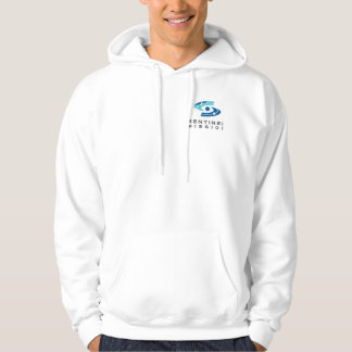 Defending the Earth Against Asteroids Hoodie