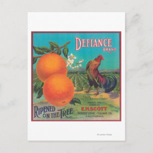 Defiance Orange LabelVenice Cove, CA Postcard