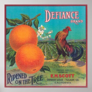 Defiance Orange LabelVenice Cove, CA Poster