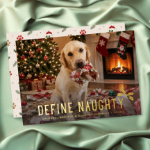 Define Naughty Dog Funny Photo Christmas