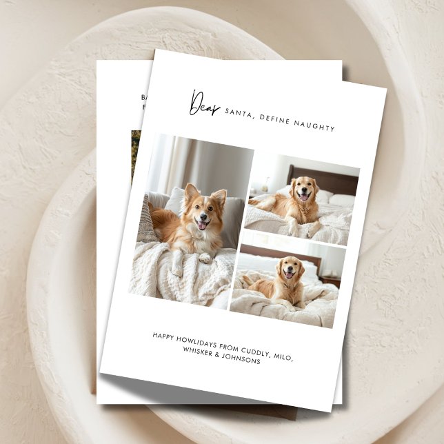 Define Naughty Funny 4 Photo Dog Christmas Pet Holiday Card (Creator Uploaded)