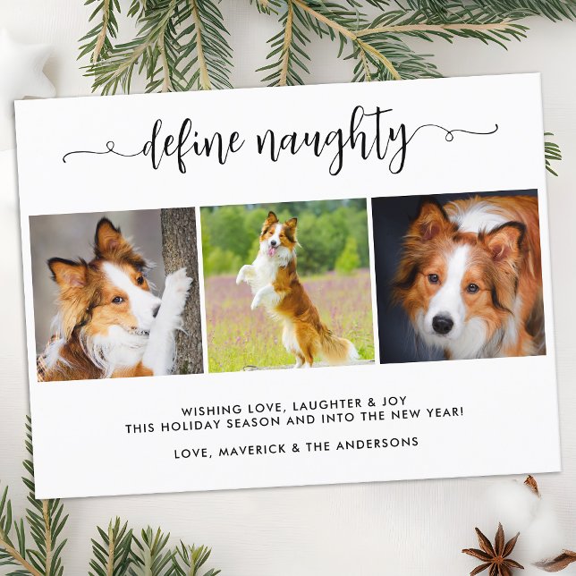 Define Naughty Personalised Funny 3 Pet Photos Holiday Postcard (Creator Uploaded)