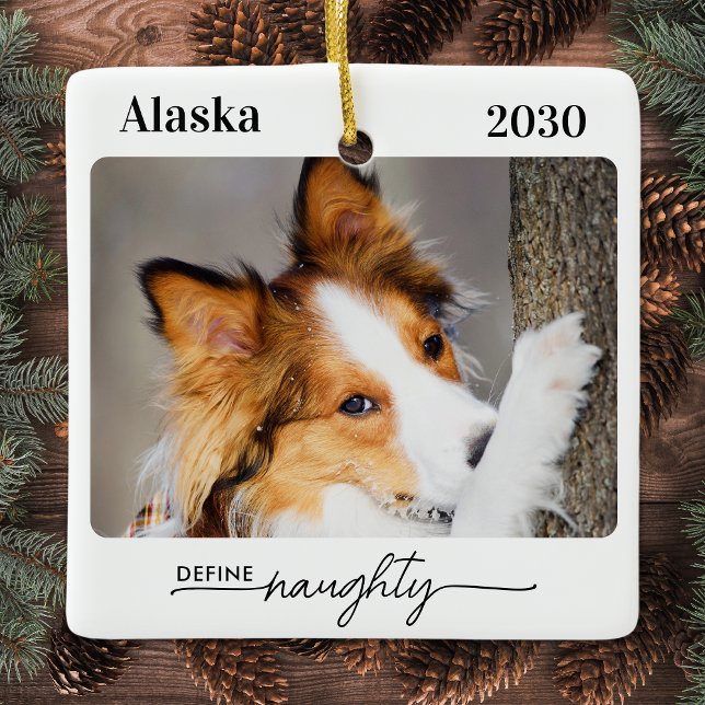 Define Naughty Personalised Funny Pet Dog Photo Ceramic Ornament (Creator Uploaded)