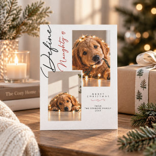 Define Naughty Script Funny 2 Pet Dog Photo Holiday Card