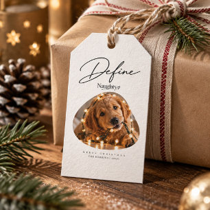 Define Naughty Script Pet Dog Photo Christmas Gift Tags