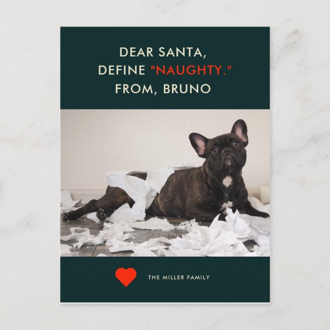 Define Naughty | Your Pet Photo Funny Holiday Card (Front)