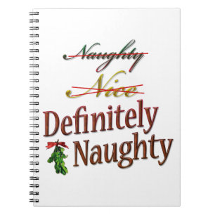 Definitely Naughty Notebook