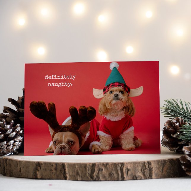 Definitely Naughty Pet Photo Cute Christmas Holiday Card (Creator Uploaded)