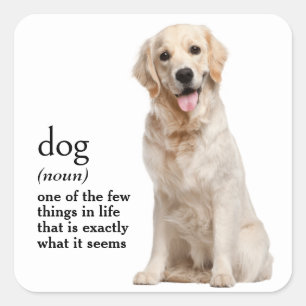 Definition Of a DOG  Square Sticker
