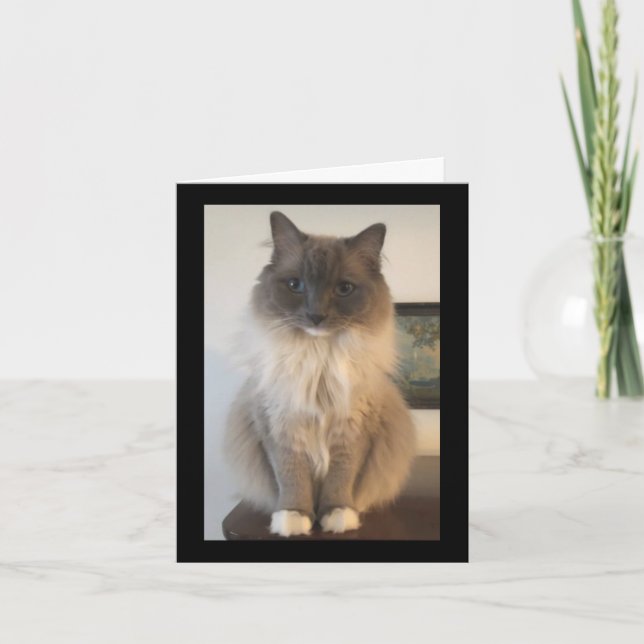 Definition  of CAT Card (Front)