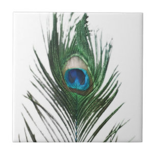 Defused Peacock Feather Trivet