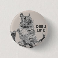 ⊿ DEGU. ⊿