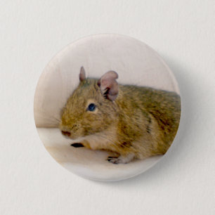 Degu Button